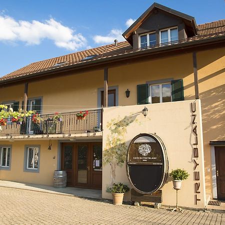 Bed and Breakfast Cave Du Treyblanc Luins Экстерьер фото