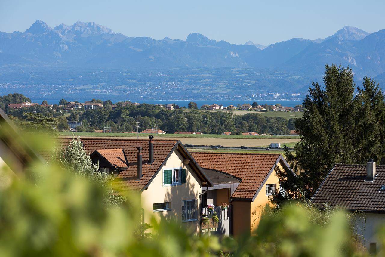 Bed and Breakfast Cave Du Treyblanc Luins Экстерьер фото
