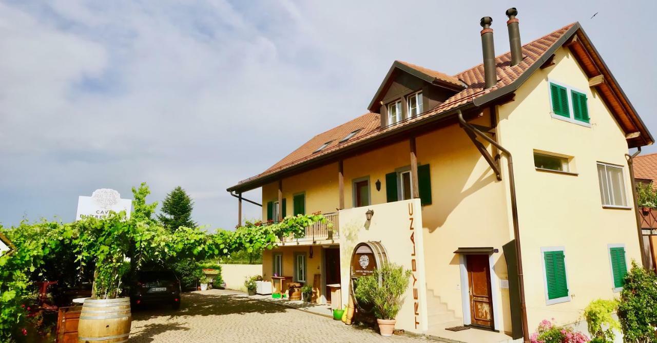 Bed and Breakfast Cave Du Treyblanc Luins Экстерьер фото