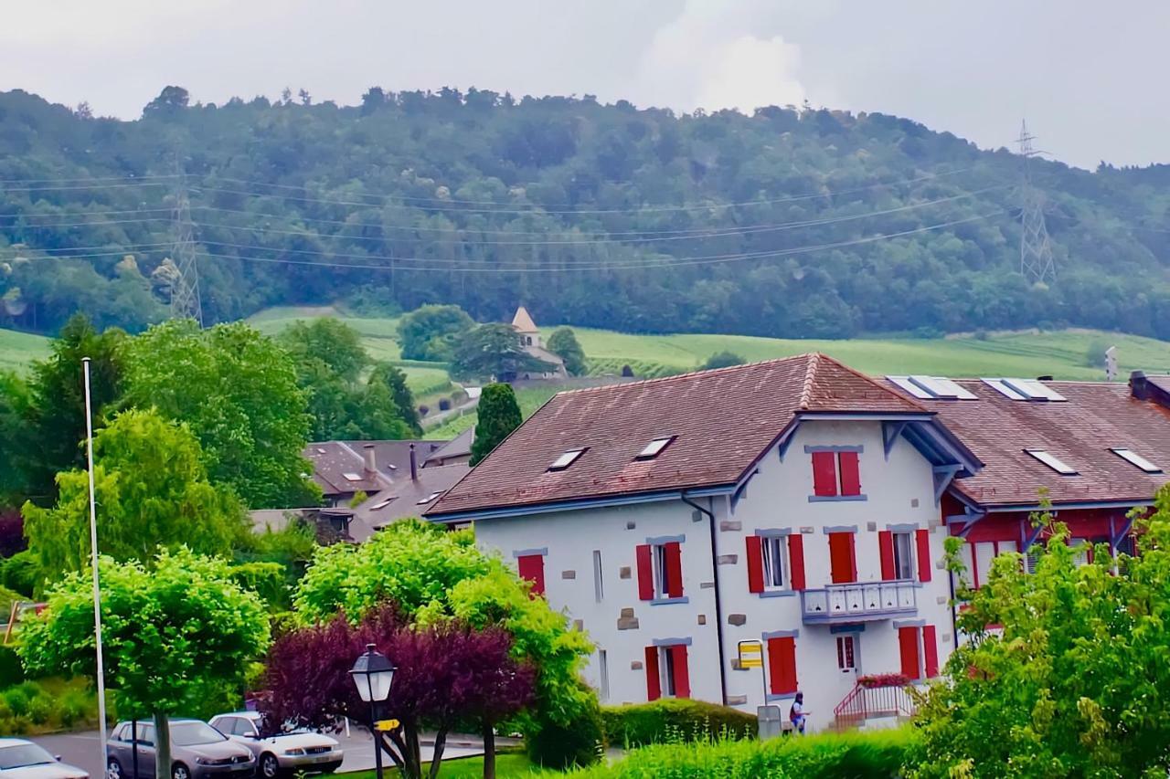 Bed and Breakfast Cave Du Treyblanc Luins Экстерьер фото
